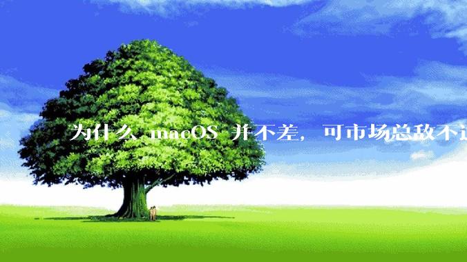 为什么 macOS 并不差，可市场总敌不过 Windows？