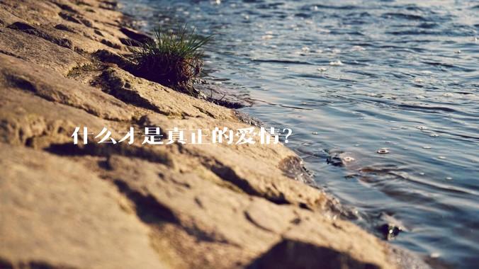 什么才是真正的爱情？