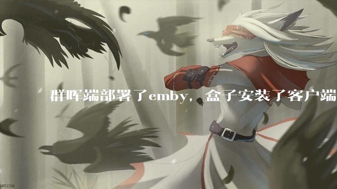 群晖端部署了emby，盒子安装了客户端播放蓝光电影为什么不能显示影片自带字幕？